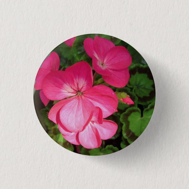 Söt Rosa Geranium Photo Button Knapp (Framsida)