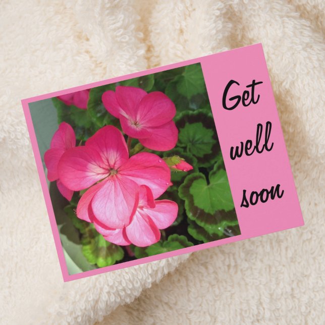 Söt Rosa Geranium Photo Get well Soon Postcard Vykort (Skapare uppladdad)