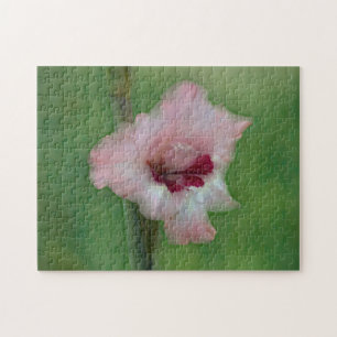 Söt Rosa Gladiolus Blomsterträdgård Art. Pussel