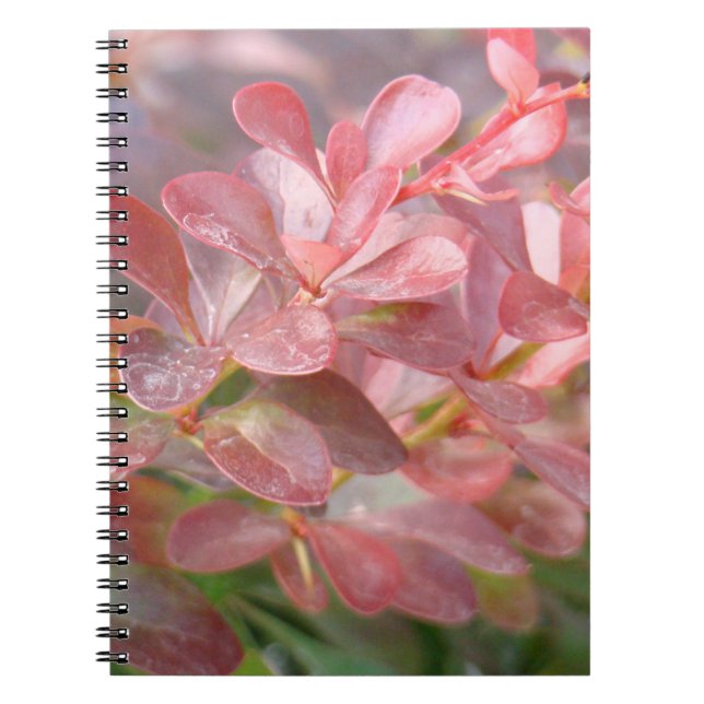 Söt Rosa Grenar Anteckningsbok (Framsidan)