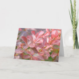 Söt Rosa Grenar Kort