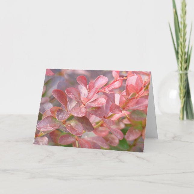 Söt Rosa Grenar Kort (Framsida)