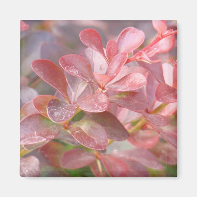 Söt Rosa Grenar Magnet (Framsidan)