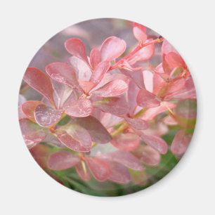 Söt Rosa Grenar Magnet