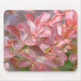 Söt Rosa Grenar Musmatta