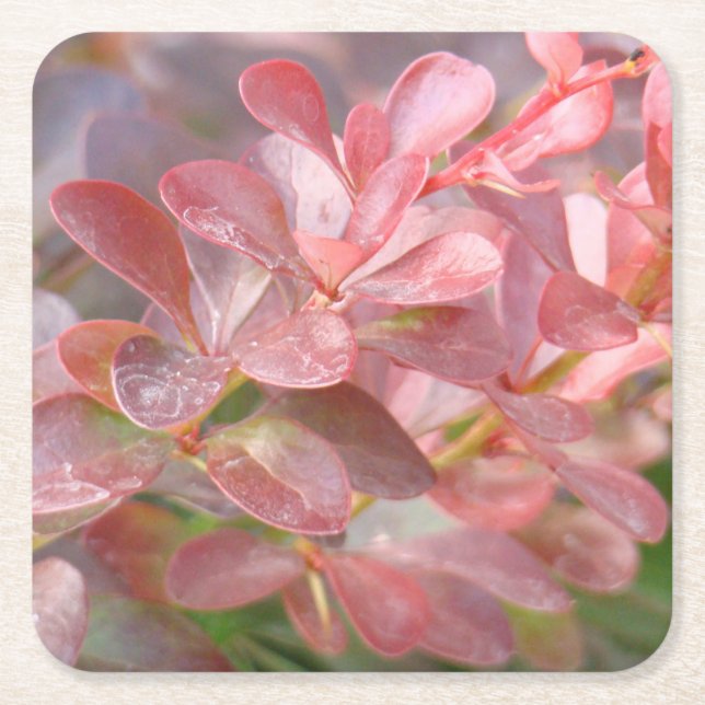 Söt Rosa Grenar Underlägg Papper Kvadrat (Framsidan)