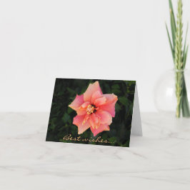 Söt Rosa Hibiscus Flower Anpassningsbar Text Kort