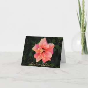 Söt Rosa Hibiscus Flower Anpassningsbar Text Kort