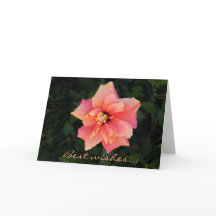 Söt Rosa Hibiscus Flower Anpassningsbar Text