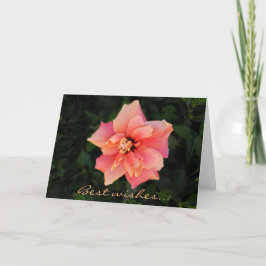 Söt Rosa Hibiscus Flower Anpassningsbar Text Kort