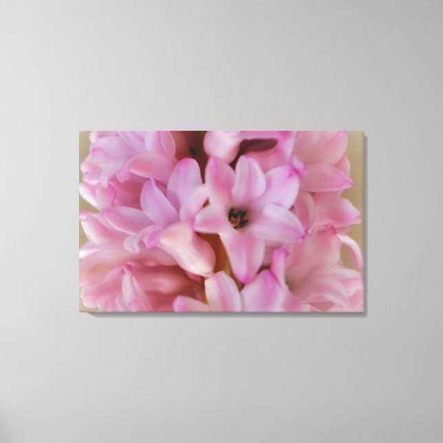 Söt rosa Hyacint Vår Flower Canvas Art (Framsida)