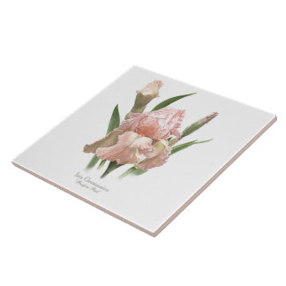 Söt Rosa Iris Botanical Stil Art Kakelplatta