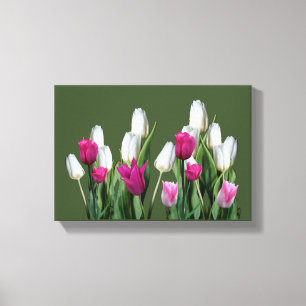 Söt rosa modern färglös blommigt för tulpanfärgad canvastryck