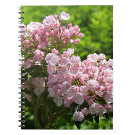 Söt Rosa Mountain Laurel Flowers Anteckningsbok Med Spiral