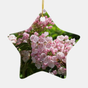 Söt Rosa Mountain Laurel Flowers Julgransprydnad Keramik