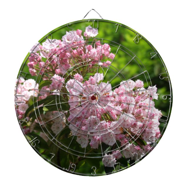 Söt Rosa Mountain Laurel Flowers Piltavla (Framsidan)