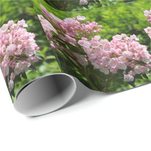 Söt Rosa Mountain Laurel Flowers Presentpapper