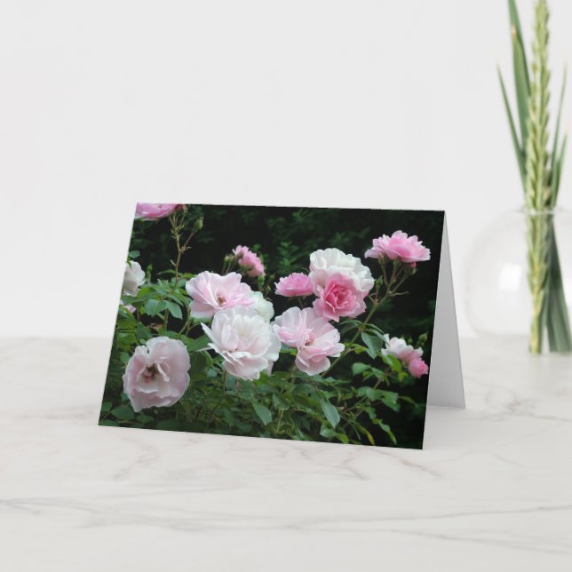 söt rosa och blombuskar i vit ros. Blommigt, Helgkort (Framsida)