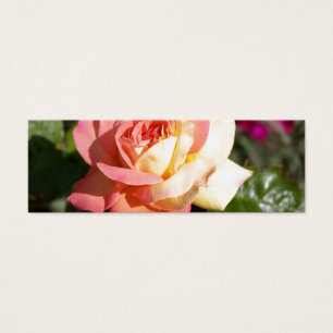 Söt rosa och gul ros blomma. Blomster Litet Visitkort