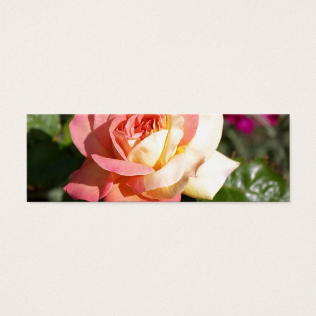 Söt rosa och gul ros blomma. Blomster Litet Visitkort (Framsidan)