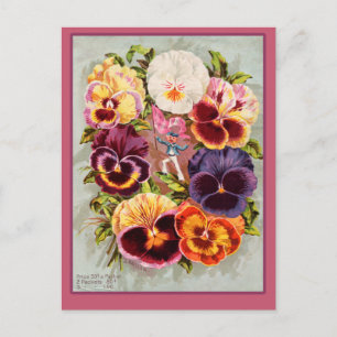 Söt Rosa och Lila Pansies Vintage Art Vykort