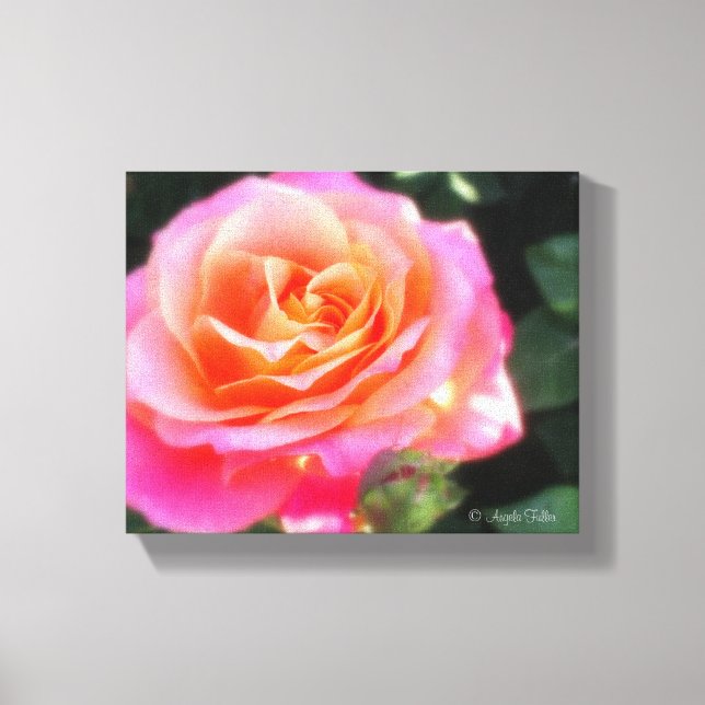 Söt Rosa och makro-foto för Orange Ro Canvastryck (Framsida)