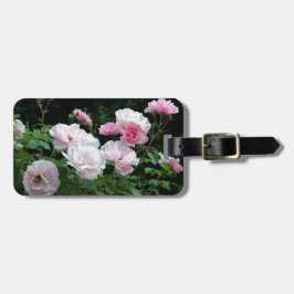 söt rosa- och vit ros-blombuskar. Blomster, Bagagebricka