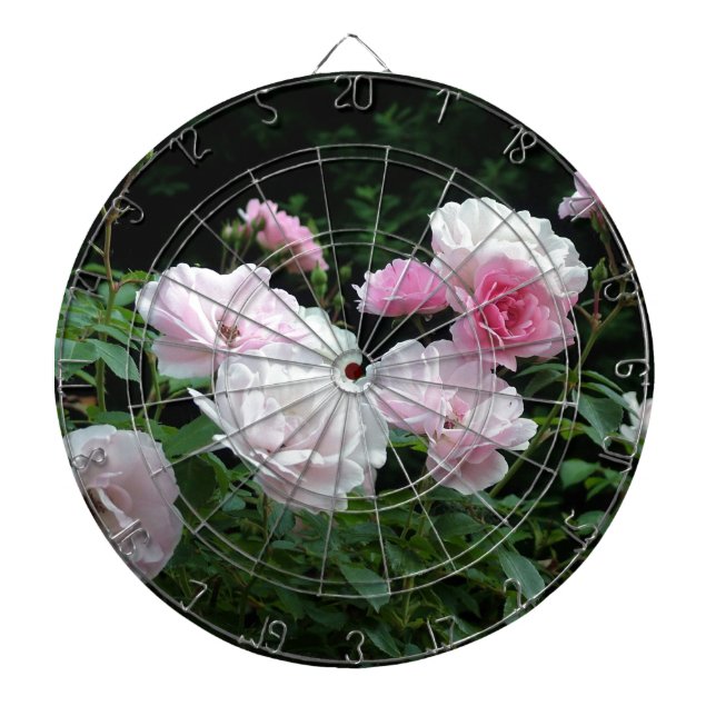 söt rosa- och vit ros-blombuskar. Blomster, Piltavla (Framsidan)