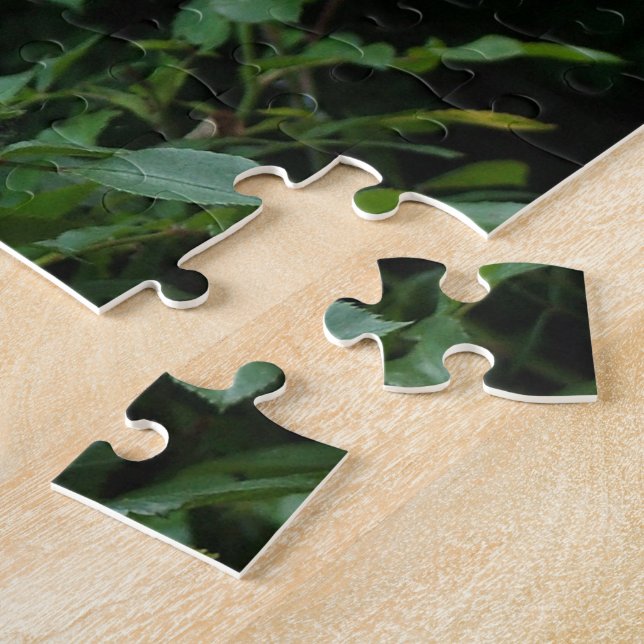 söt rosa- och vit ros-blombuskar. Blomster, Pussel (Sidan)