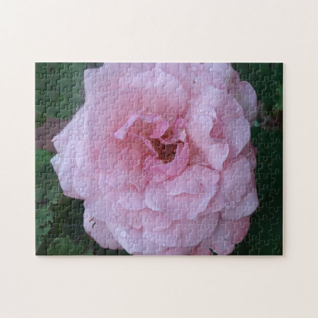 Söt Rosa Peonie med regndroppar Pussel (Horisontell)