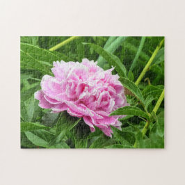 Söt Rosa Peony Pussel