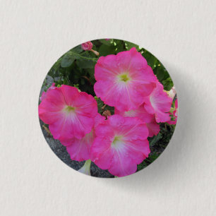 Söt Rosa Petunia Flower Photo Knapp