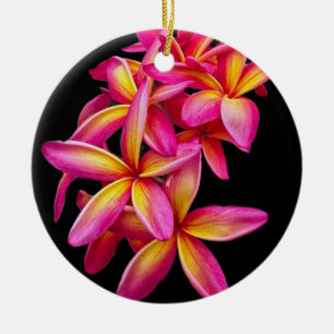 Söt Rosa Plumeria Blommigt Photo Julgransprydnad Keramik