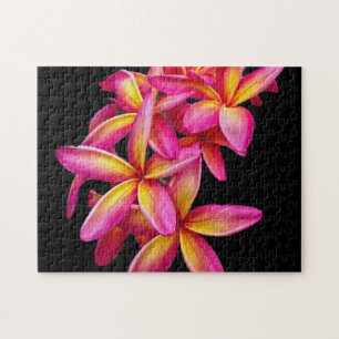 Söt Rosa Plumeria Blommigt Photo Pussel