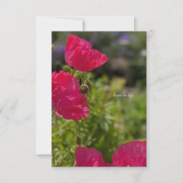 Söt Rosa Poppies i Garden Anteckningskort