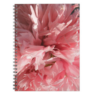 Söt Rosa Poppy-anteckningsbok Anteckningsbok Med Spiral