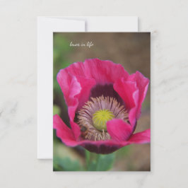 Söt Rosa Poppy Anteckningskort