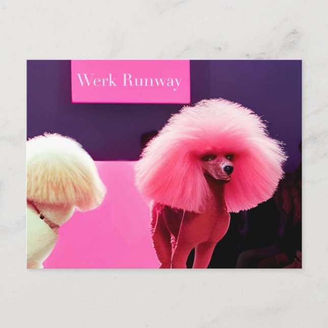 Söt Rosa Pudel Catwalk Grattis Födelsedag Postkort Vykort (Framsida)
