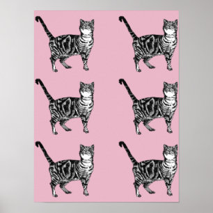 Söt rosa randig tabby katt Katter Poster Art