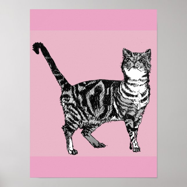 Söt rosa randig tabbykatt Katter Affisch Konst (Framsidan)