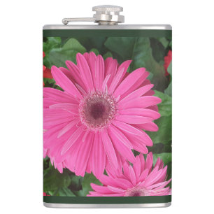 SÖT ROSA RED GERBERA FLOWERS BLOMMIGT IMAGE NAMN FICKPLUNTA