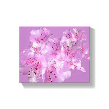 Söt rosa rhododendron blommar blommigt vacker