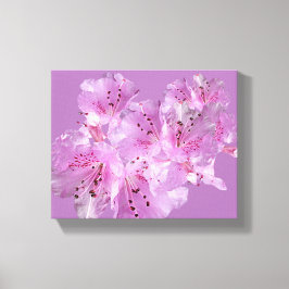 Söt rosa rhododendron blommar blommigt vacker canvastryck