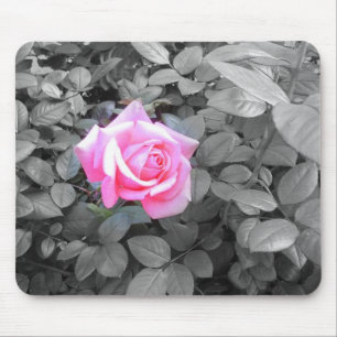 Söt Rosa ros Black White Musmatta