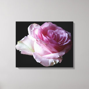 Söt rosa ros blommigt, modern chic för enkel snygg canvastryck