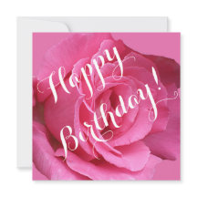 Söt rosa ros blommigt vacker Grattis på födelsedag