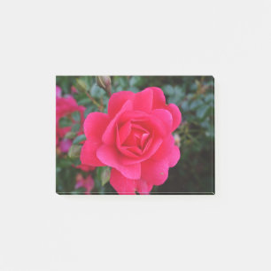 söt rosa ros blomsterfotografi post-it block