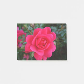 söt rosa ros blomsterfotografi post-it block