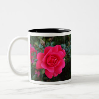 söt rosa ros blomsterfotografi Två-Tonad mugg