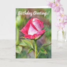 Söt Rosa ros Bud Flower Art Birthday Card Kort